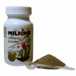 Milione Bacteria Powder - 70 g - Qualdrop.pl